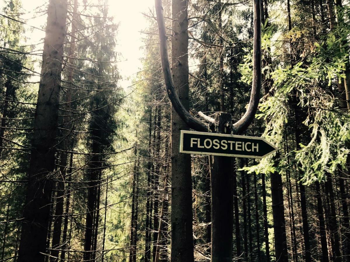 Flair-Hotel Waldfrieden Oberweißbach Eksteriør billede